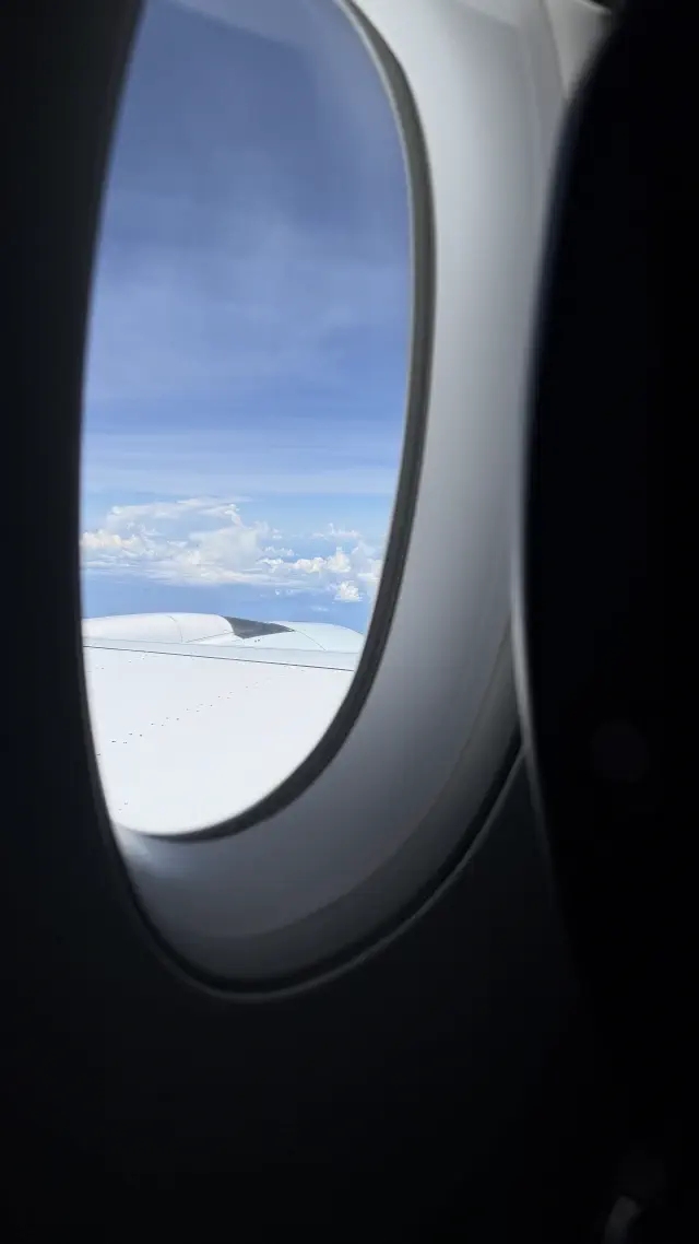 A view out of the window