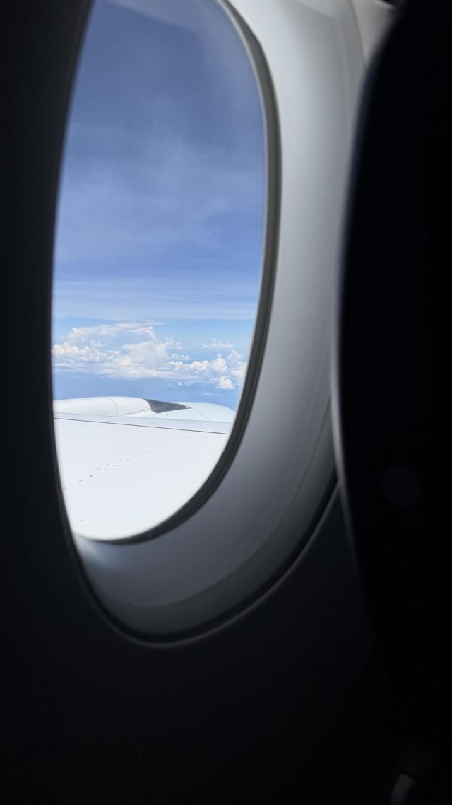 A view out of the window