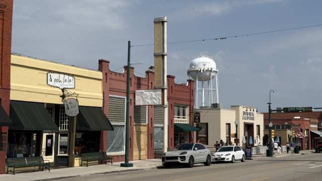 Grapevine